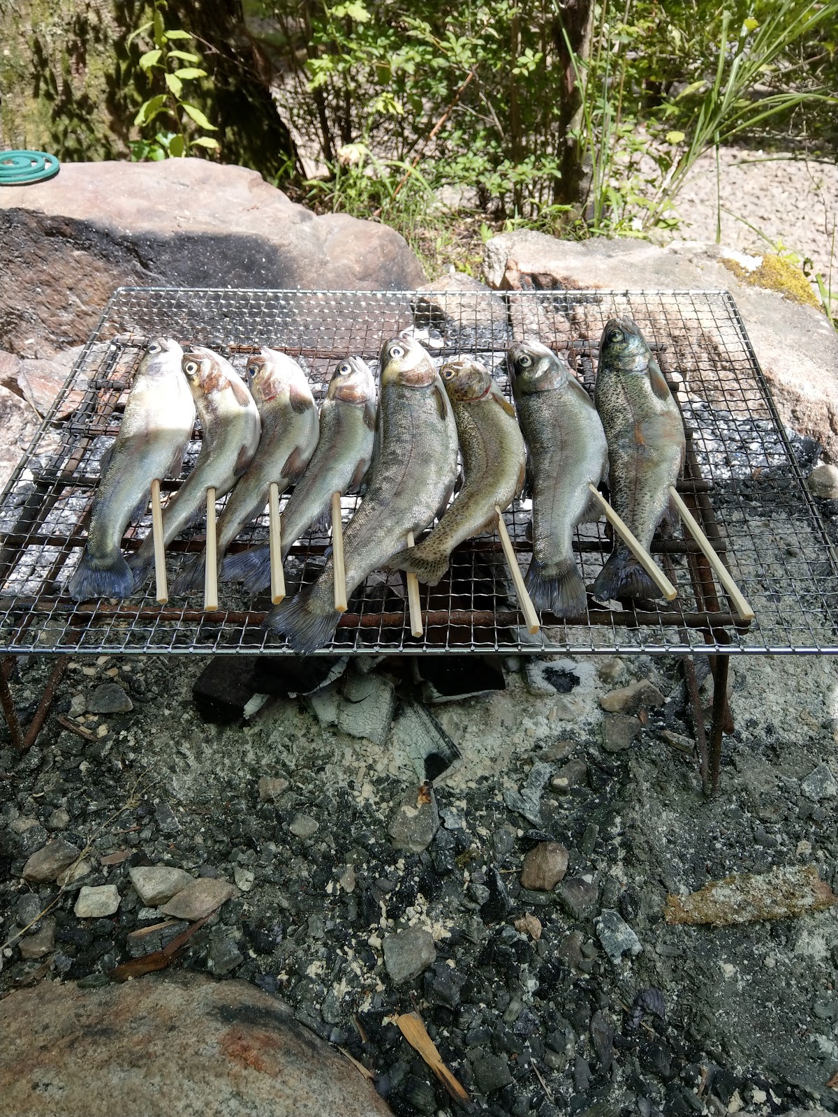 Công viên Rinkan Quảng trường Michi No Eki Tsugu Cao nguyên Guriin