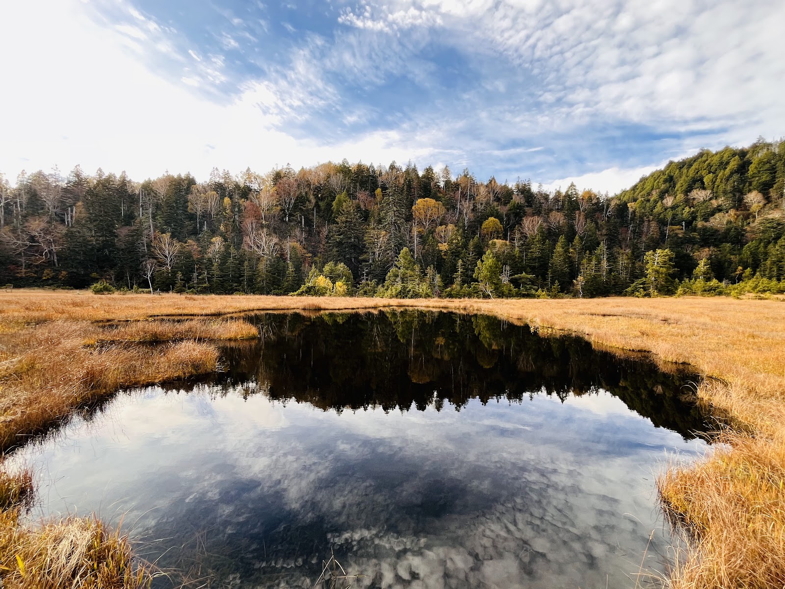 Công viên Guriin Oze Tokura