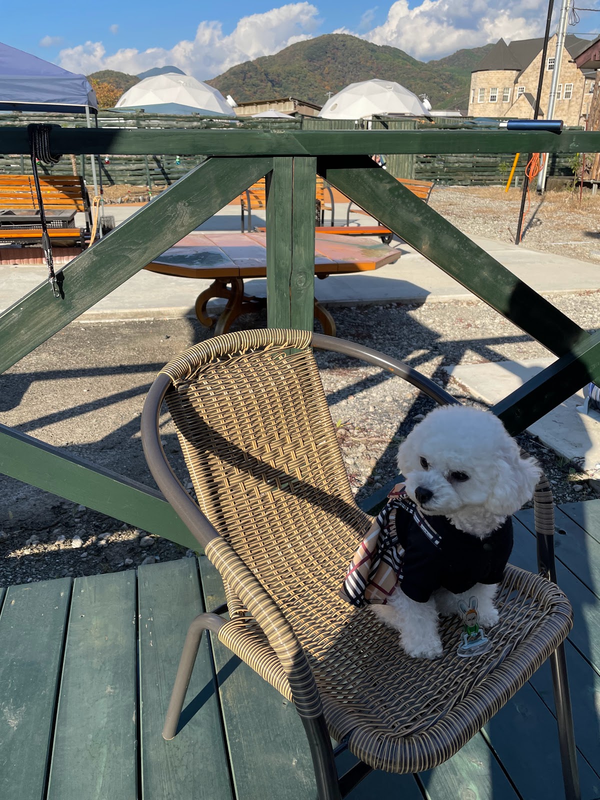 西伊豆ぐらんぷ