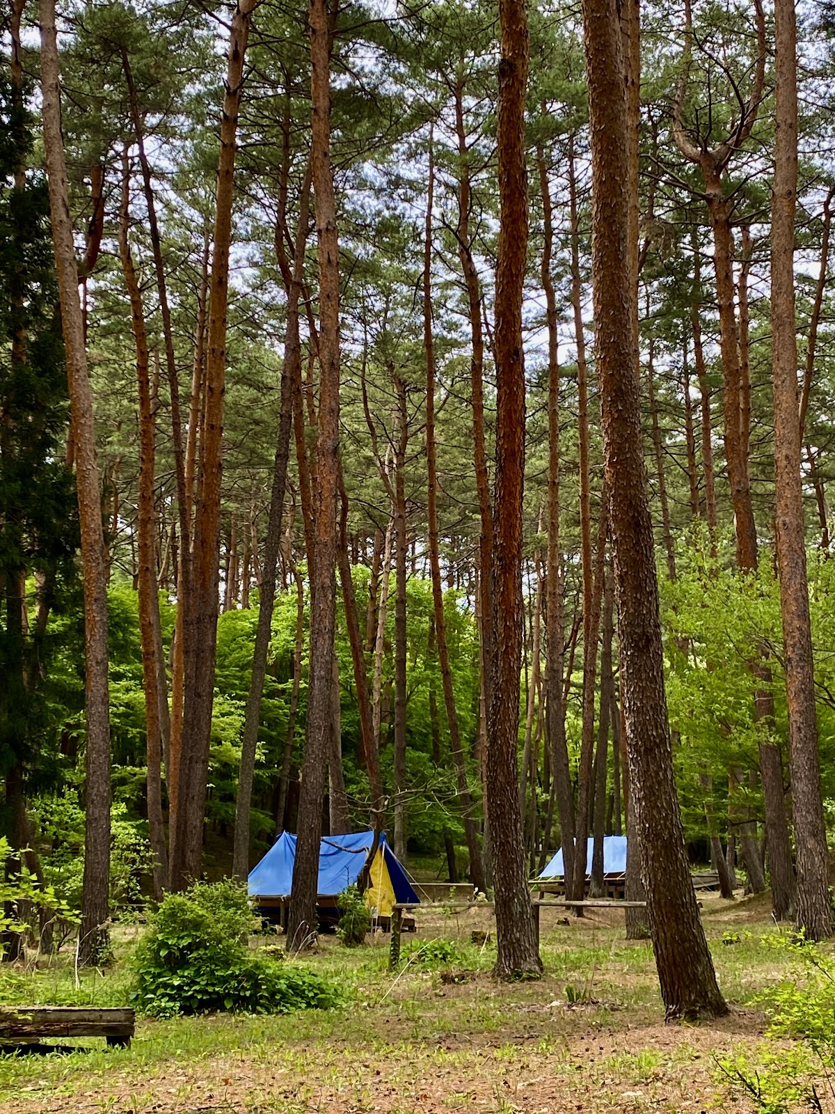 Tonan Tsudoi Forest Daiichi Campground