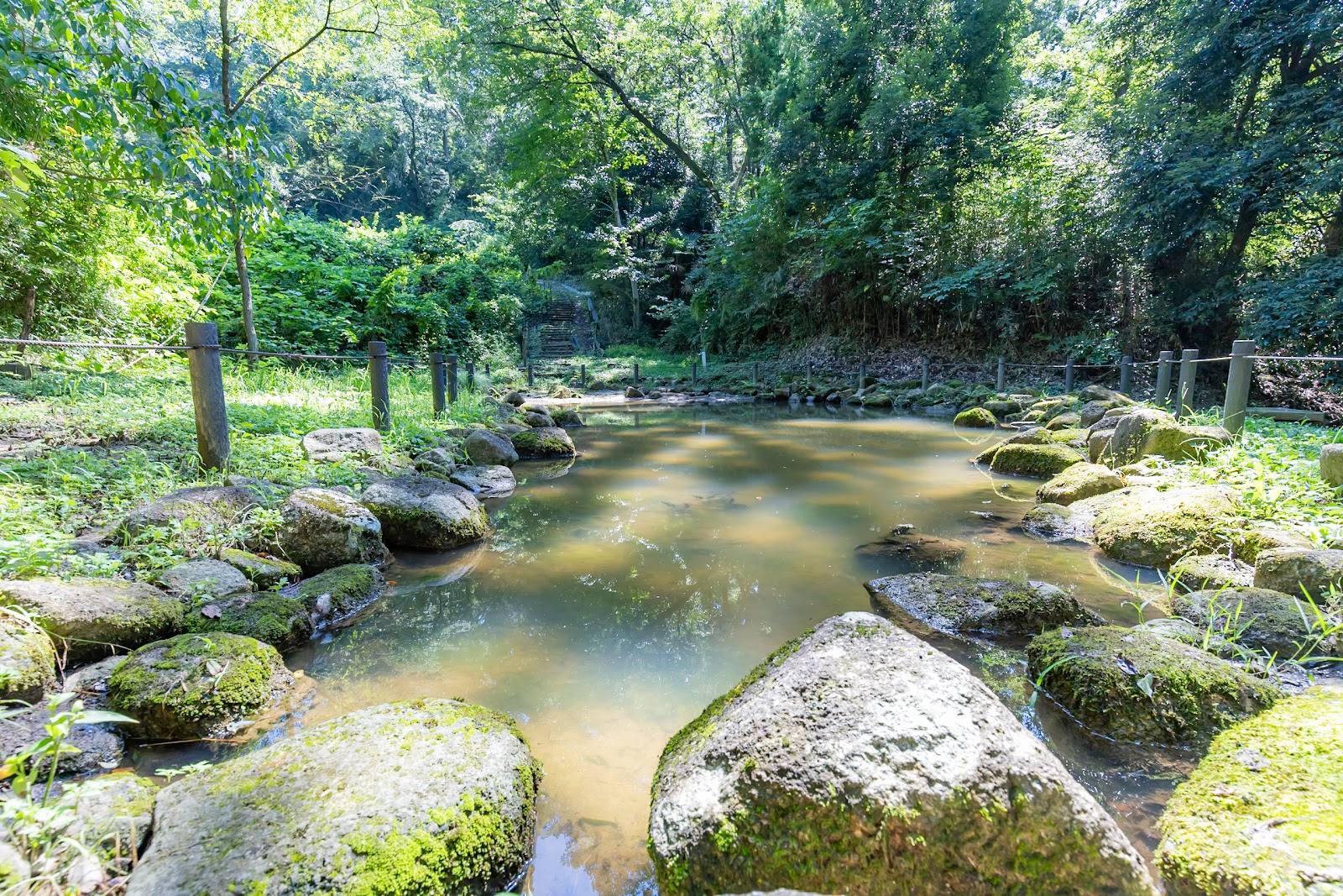 稲城ふれあいの森