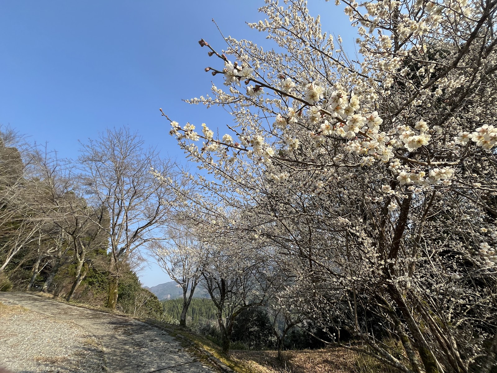 Unoko Taki Ni Kura Su Kabushikigaisha