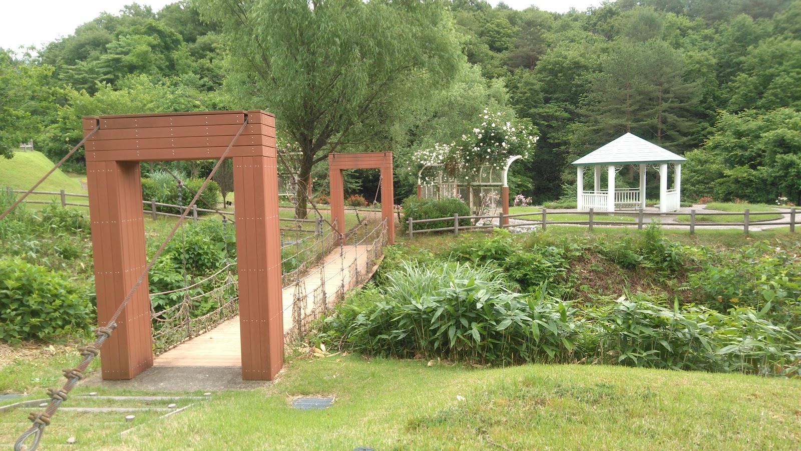 Khu cắm trại Akitashi Taiheizan Khu nghỉ dưỡng Công viên Pikunikku Rừng