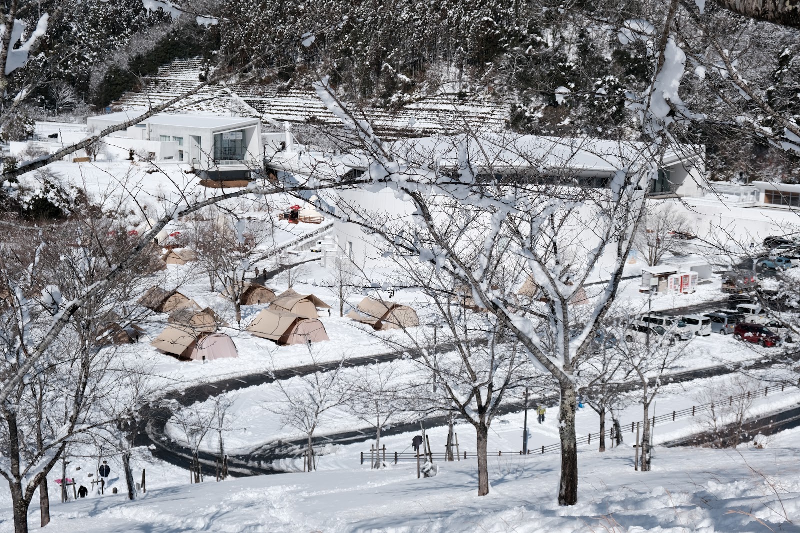 DODNo Camping 「Kamaboko Tent 3L/3M」