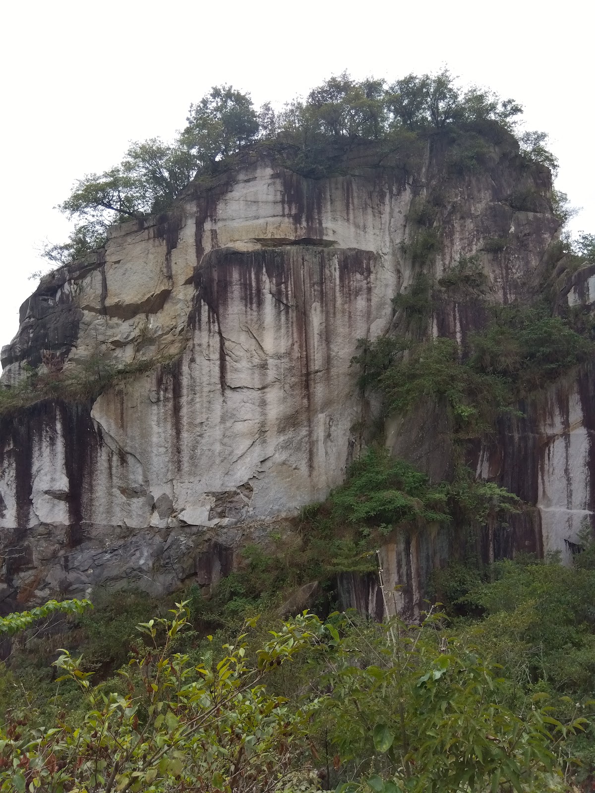 Forenta Kasama Ishikiri Eria