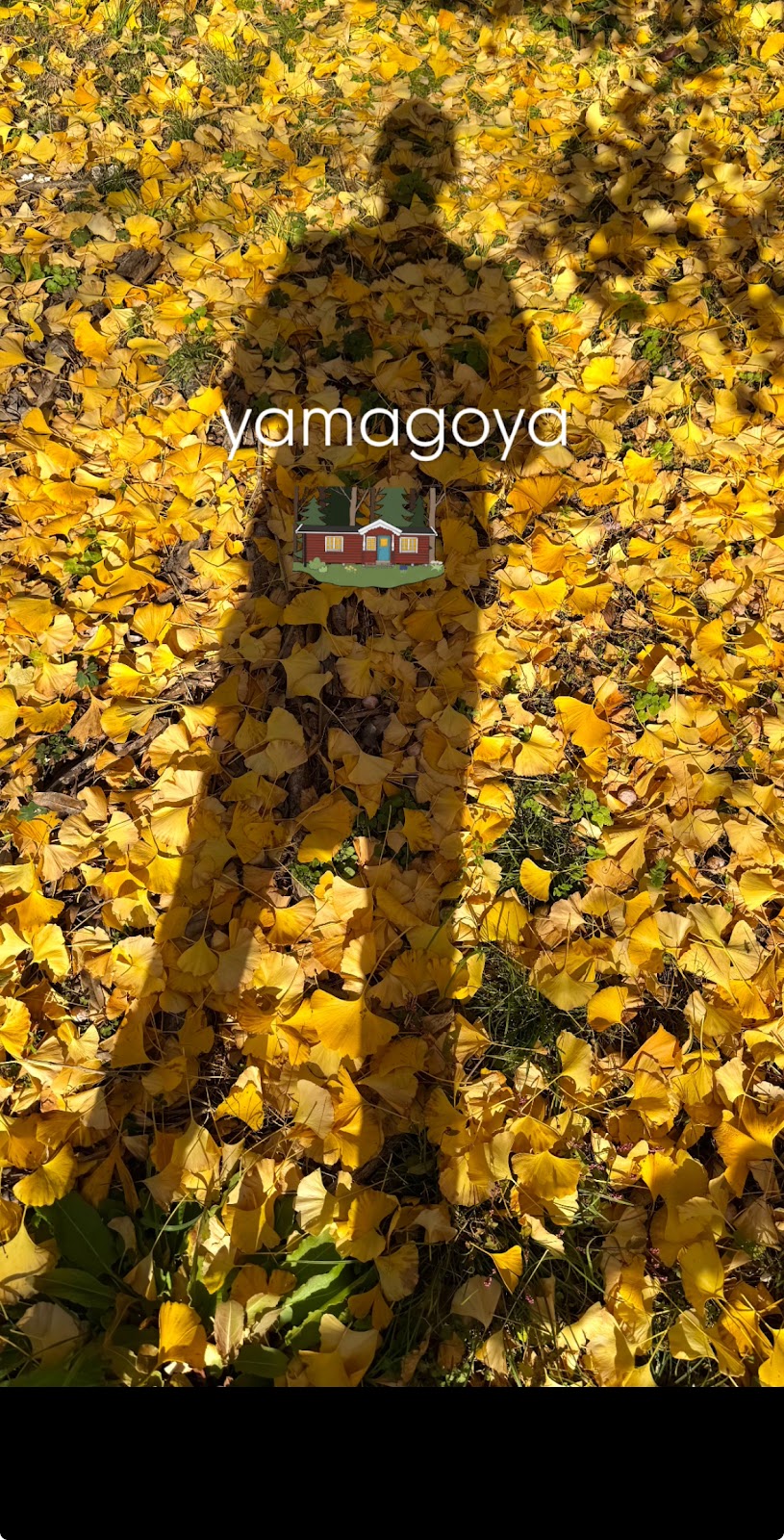 Mori No Yama Nhà gỗ