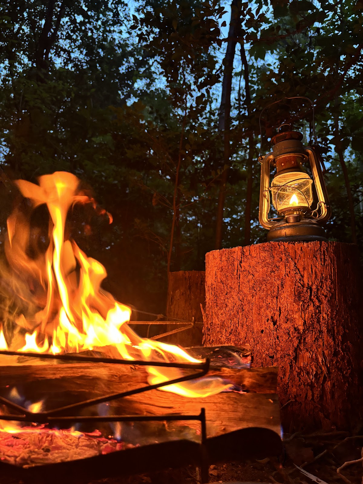 FBR Forest Base Rokko