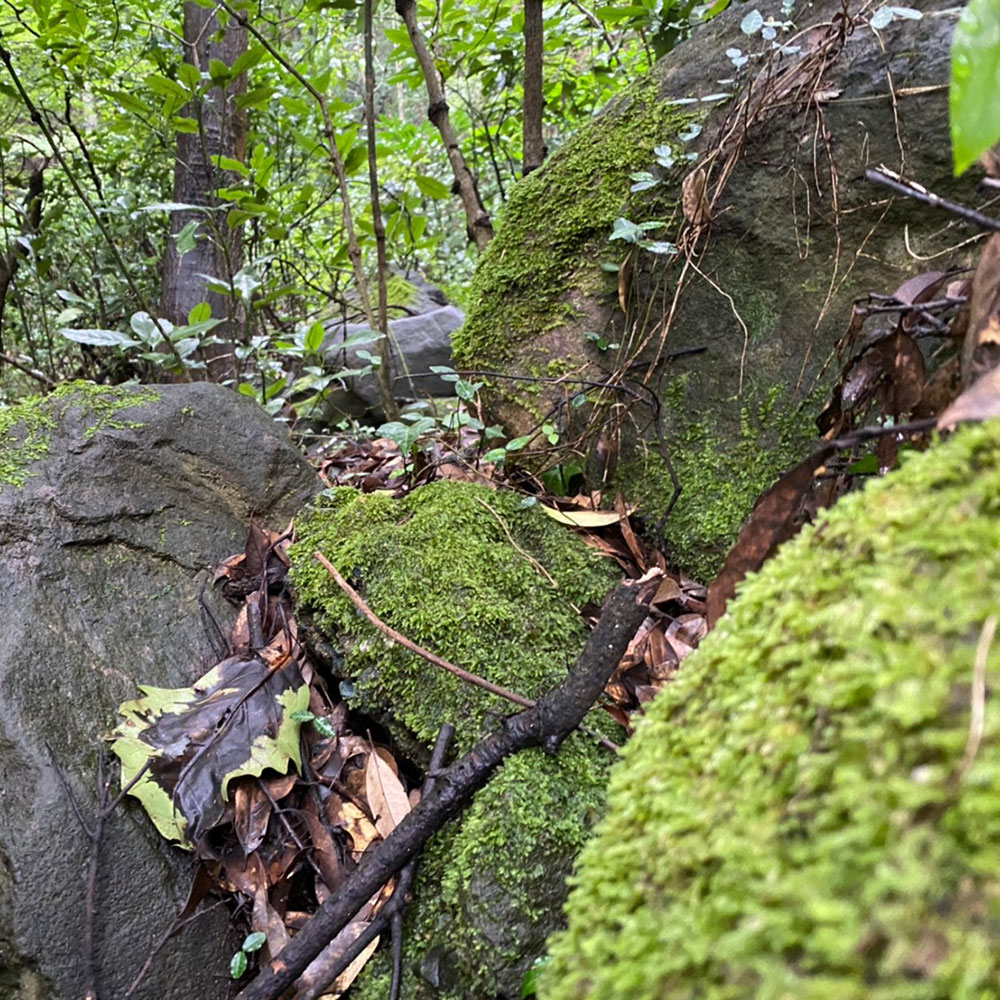 Mai Camping Odawara Iriuda
