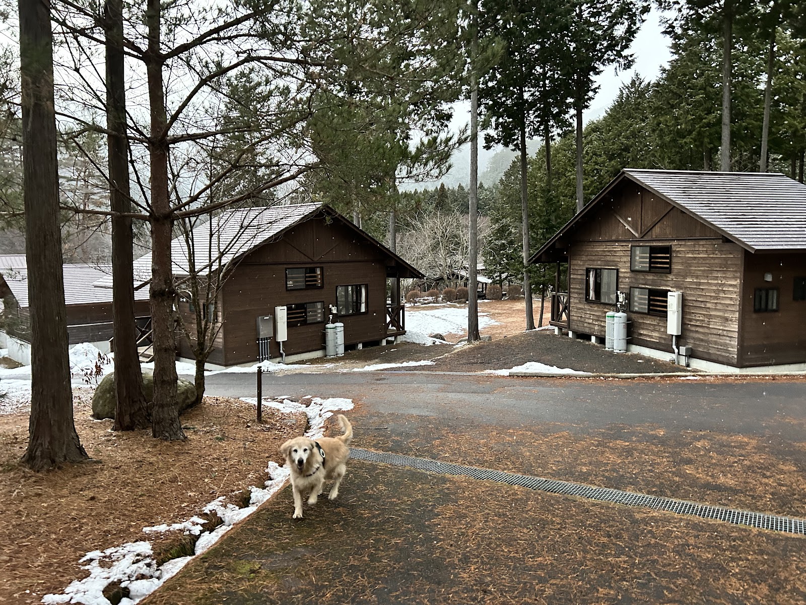 Khu cắm trại Kuroki