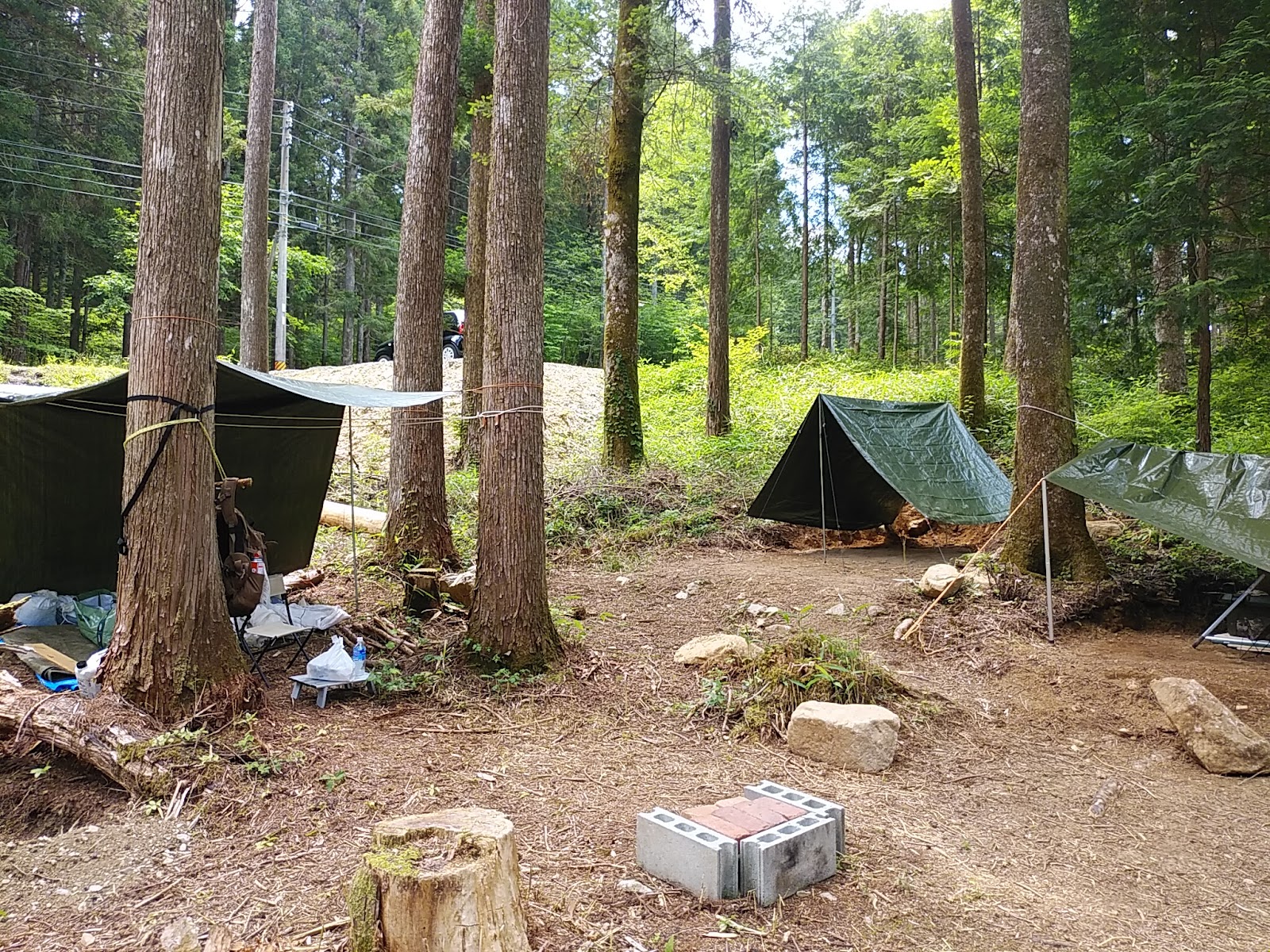 Sogayan Tooru No Himitsukichi