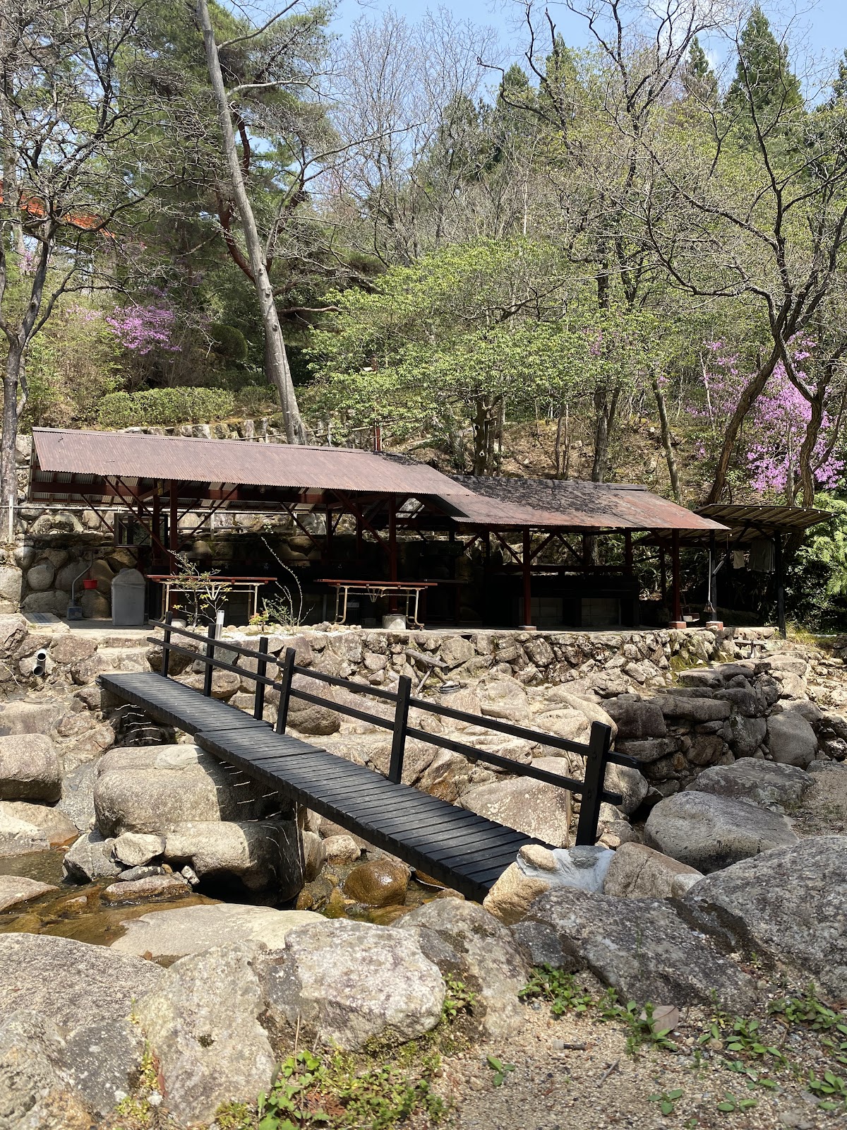 Ichiri Matsu Campground