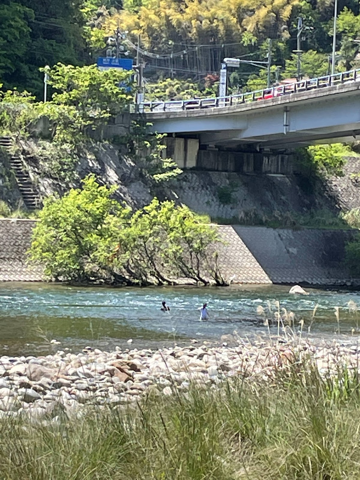 Khu cắm trại Yanase