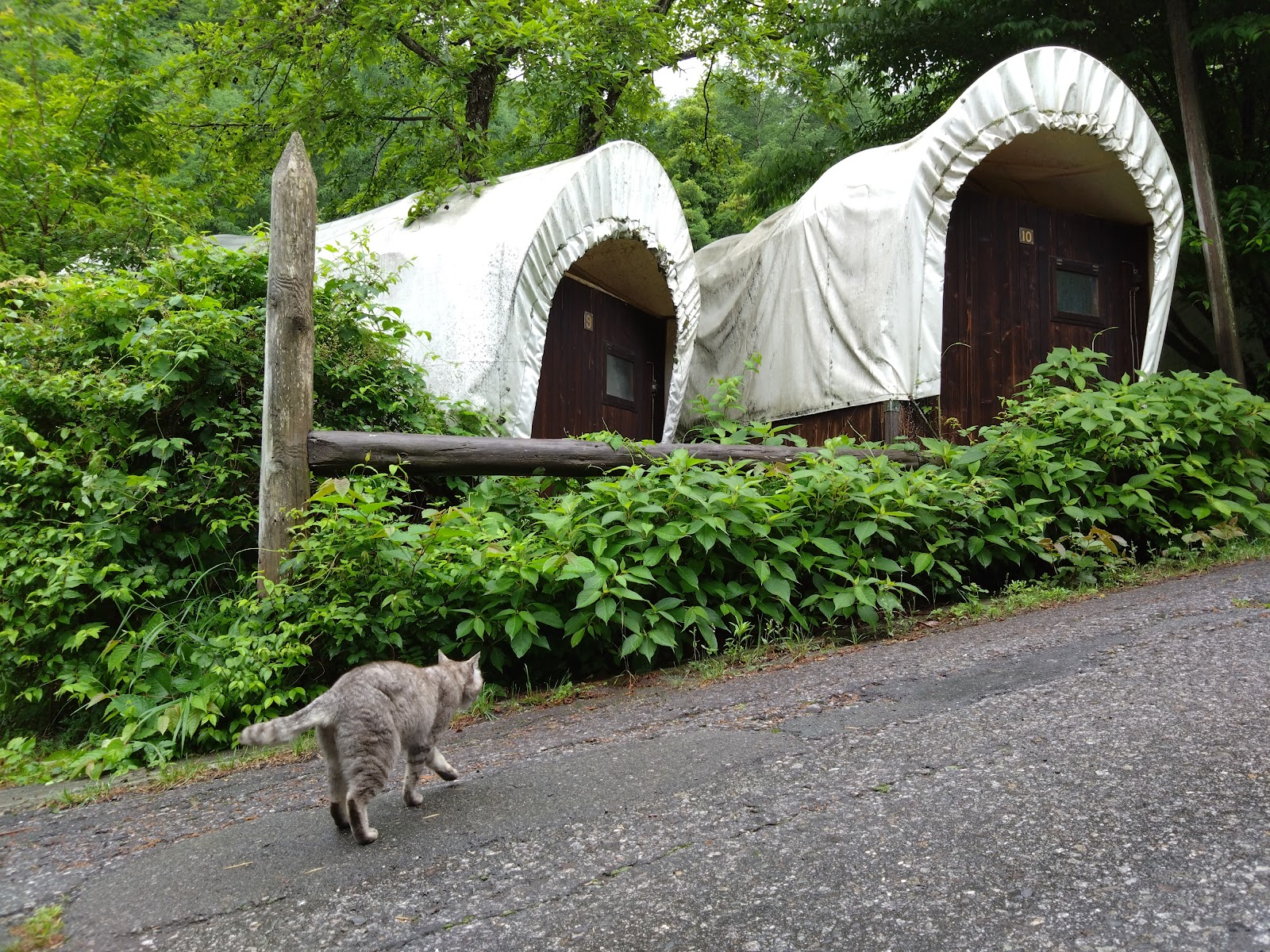 Noosurandokyanpaazu Làng