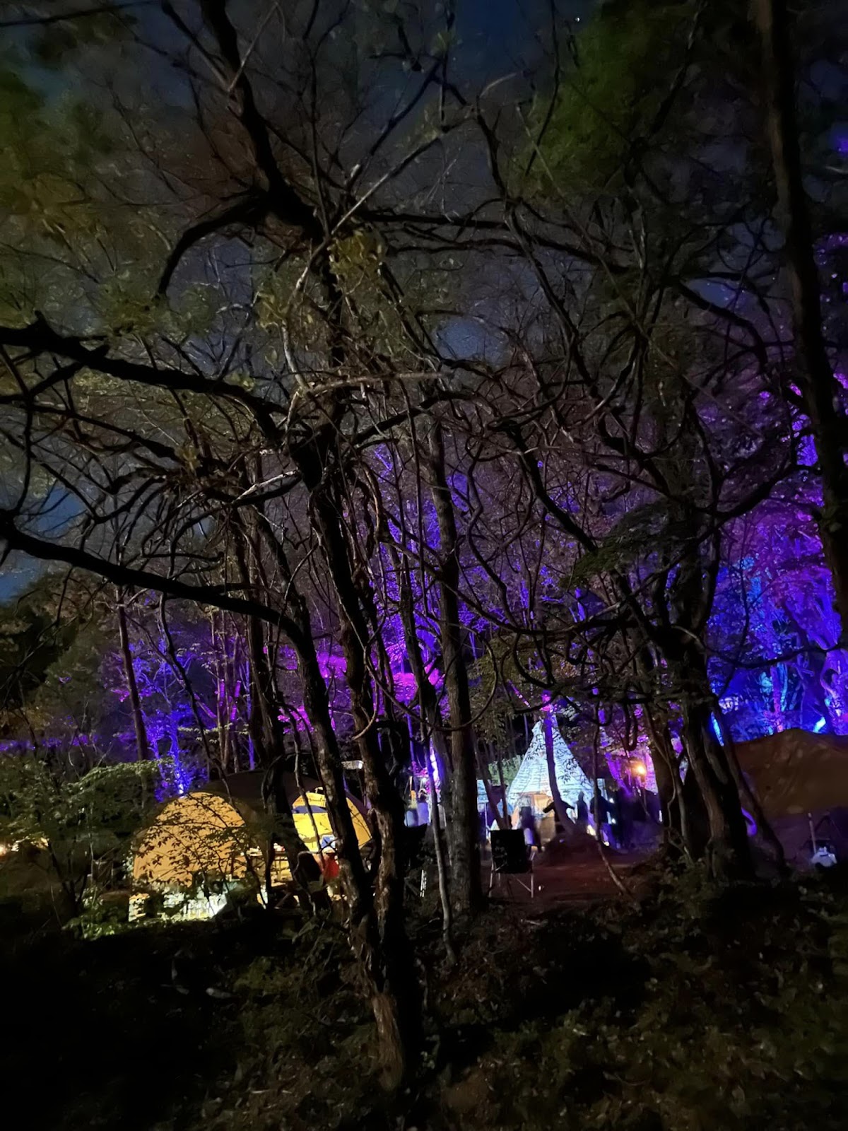 天空の森キャンプ場