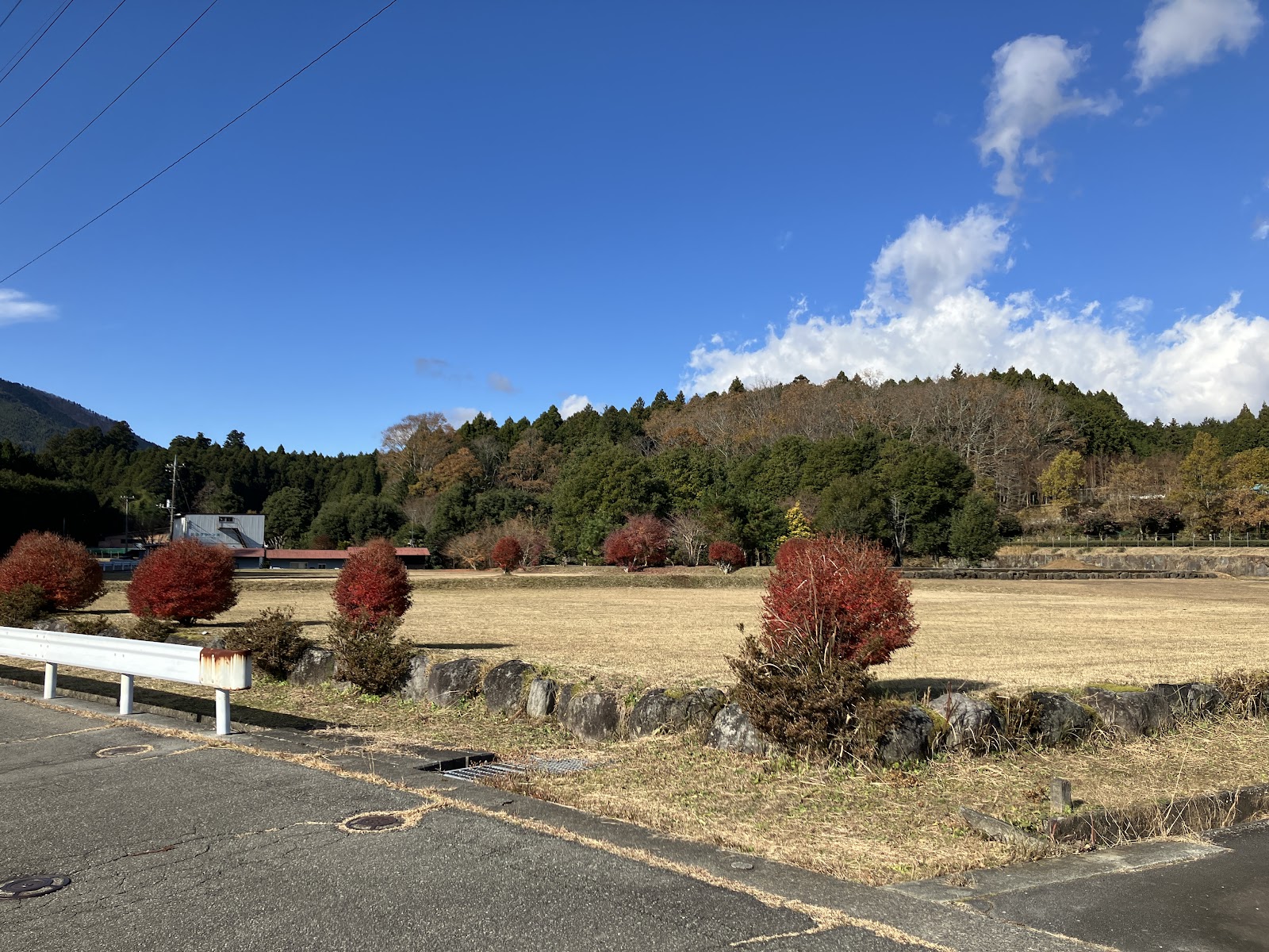 Khu cắm trại Suyama Yanagisawa