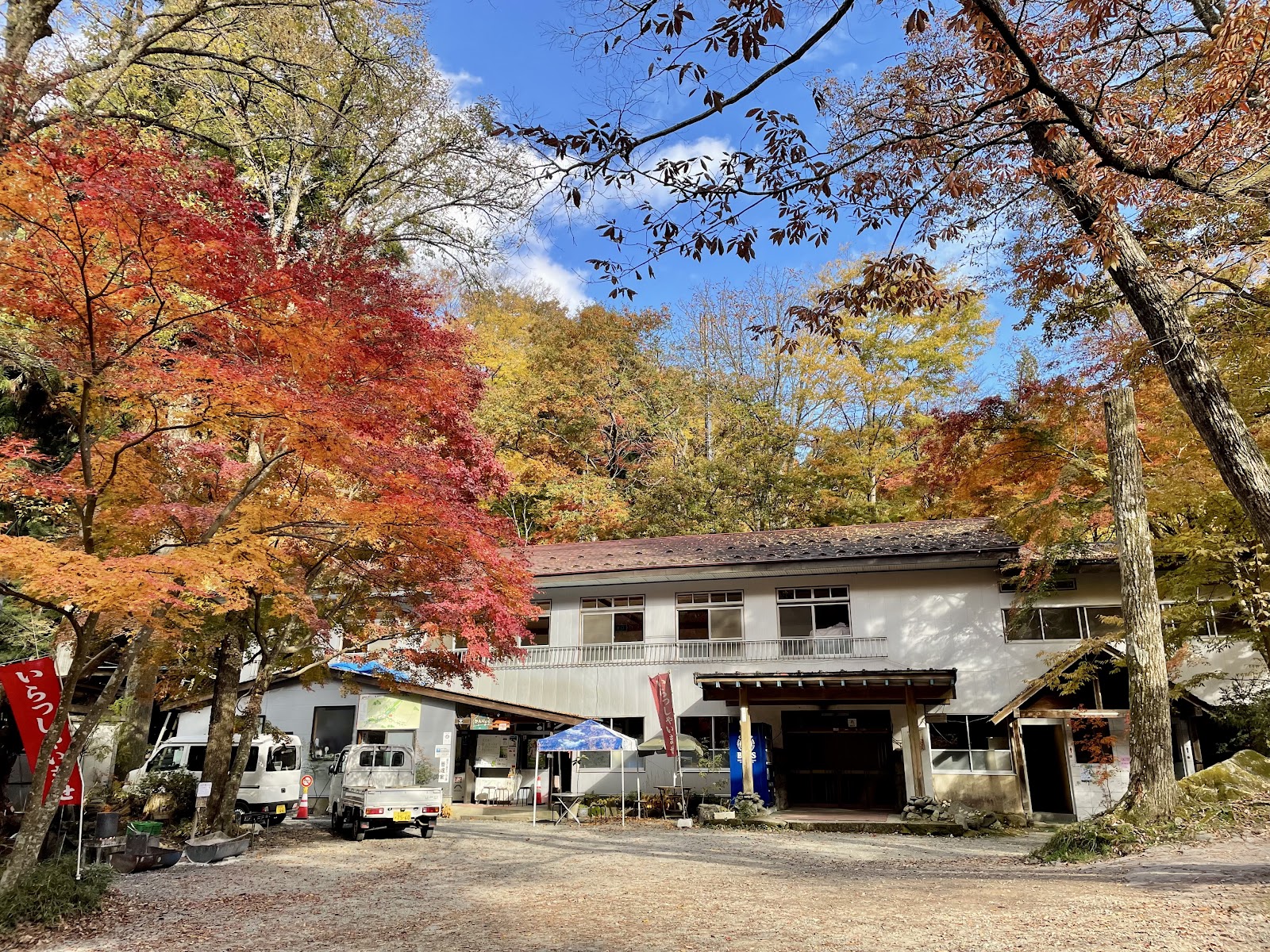 Khu cắm trại Doushi Rừng