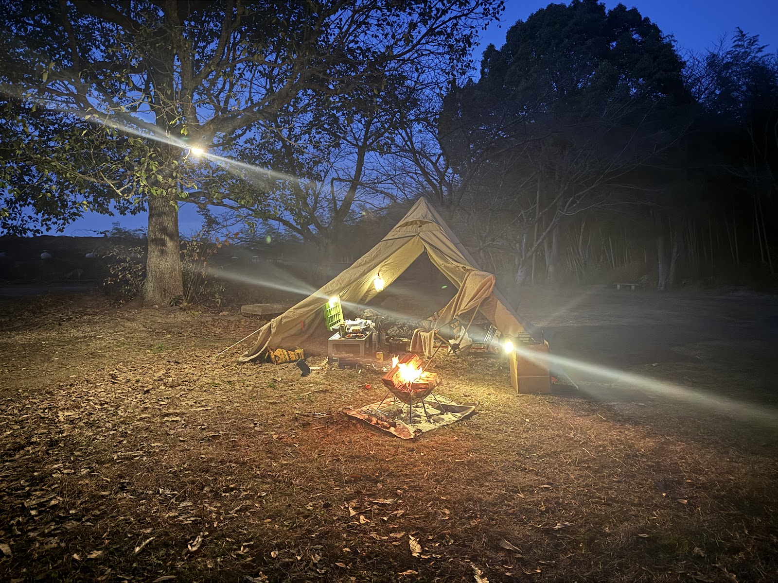 大麻山キャンプ場