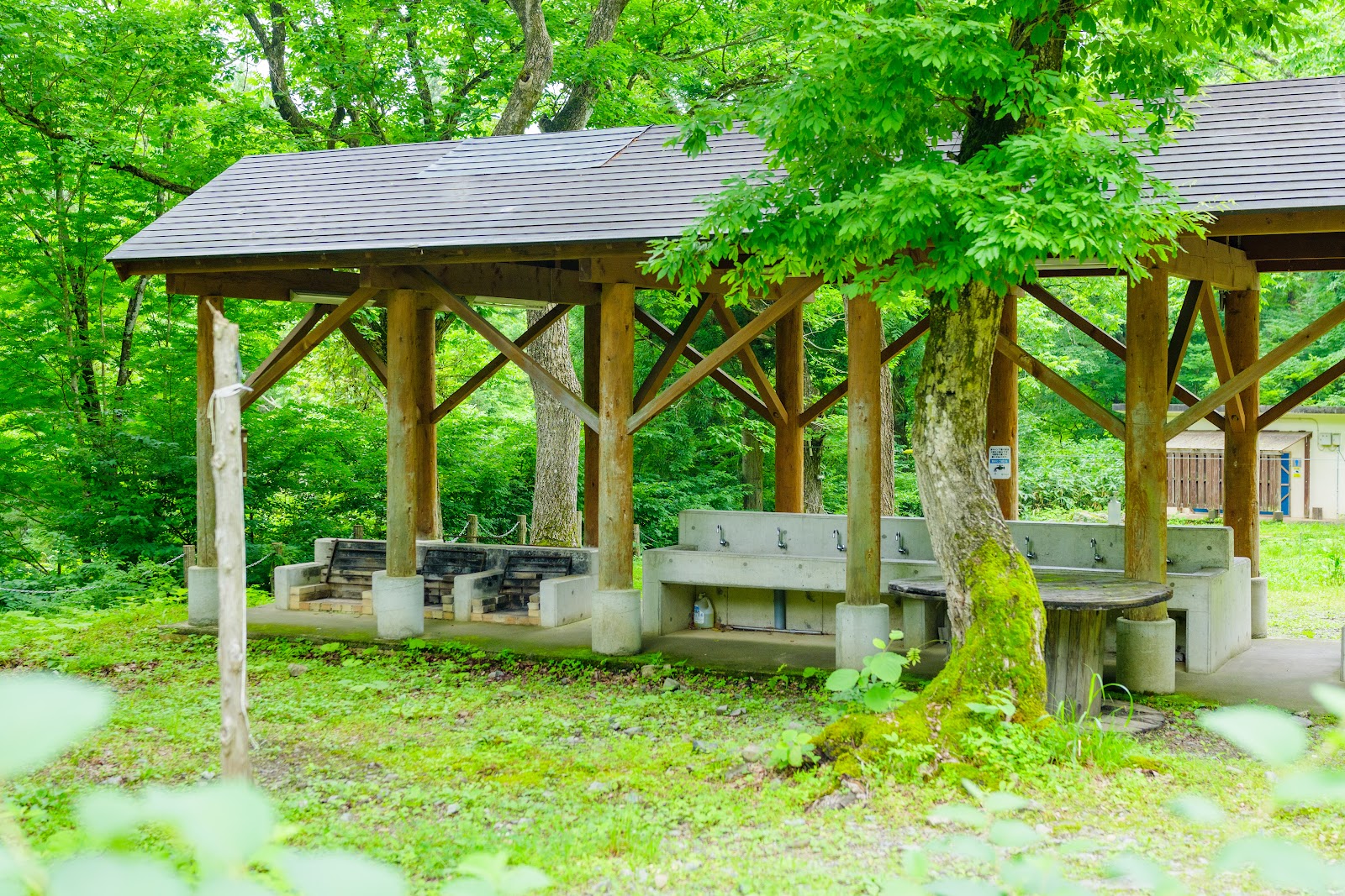 Daigen Ta Kyanion Campground