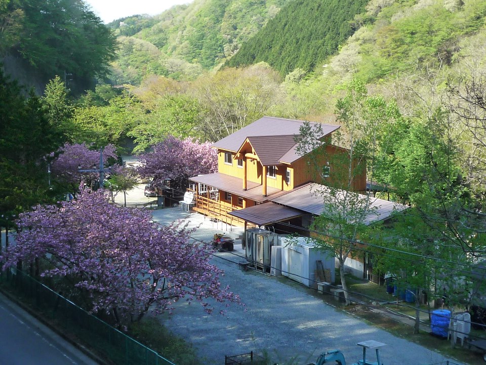 Bauaahausujapan Campground