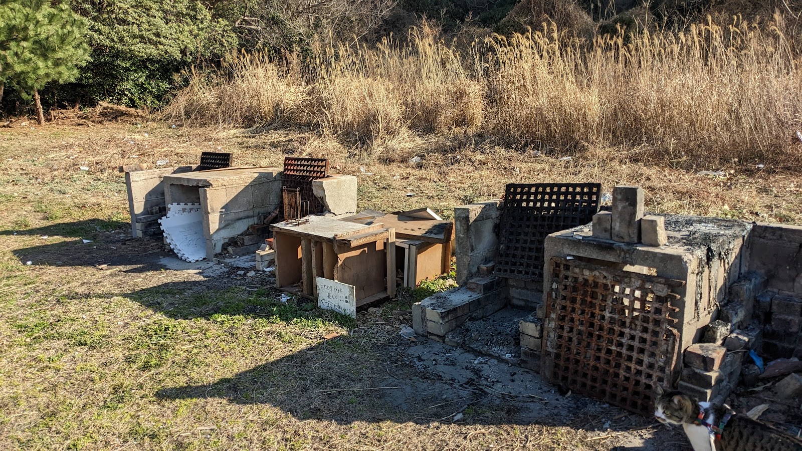 Shichigosan Ke Ura Park Campground