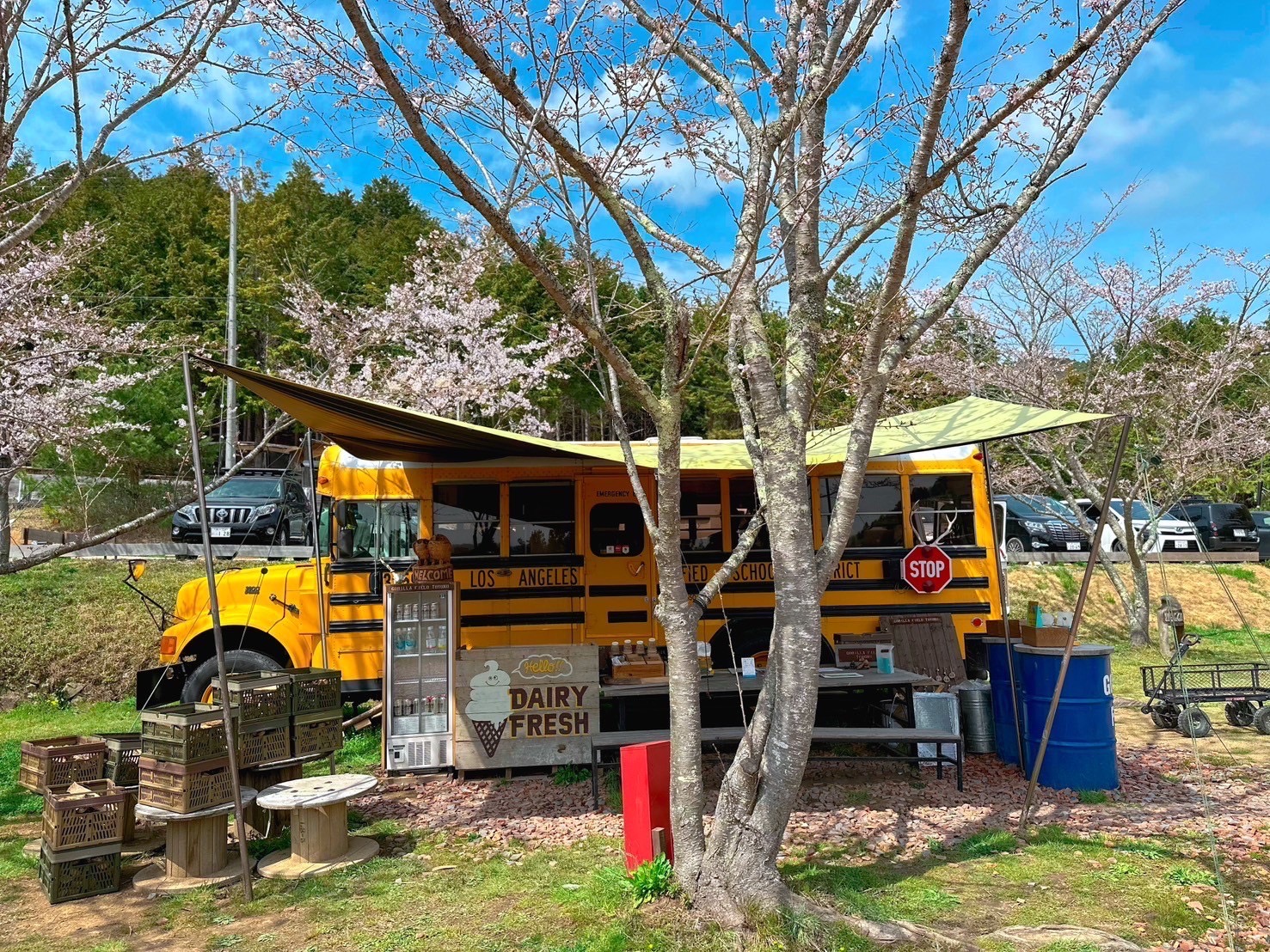 Khu cắm trại Gorirafiirudo Toyono GORILLA FIELD TOYONO