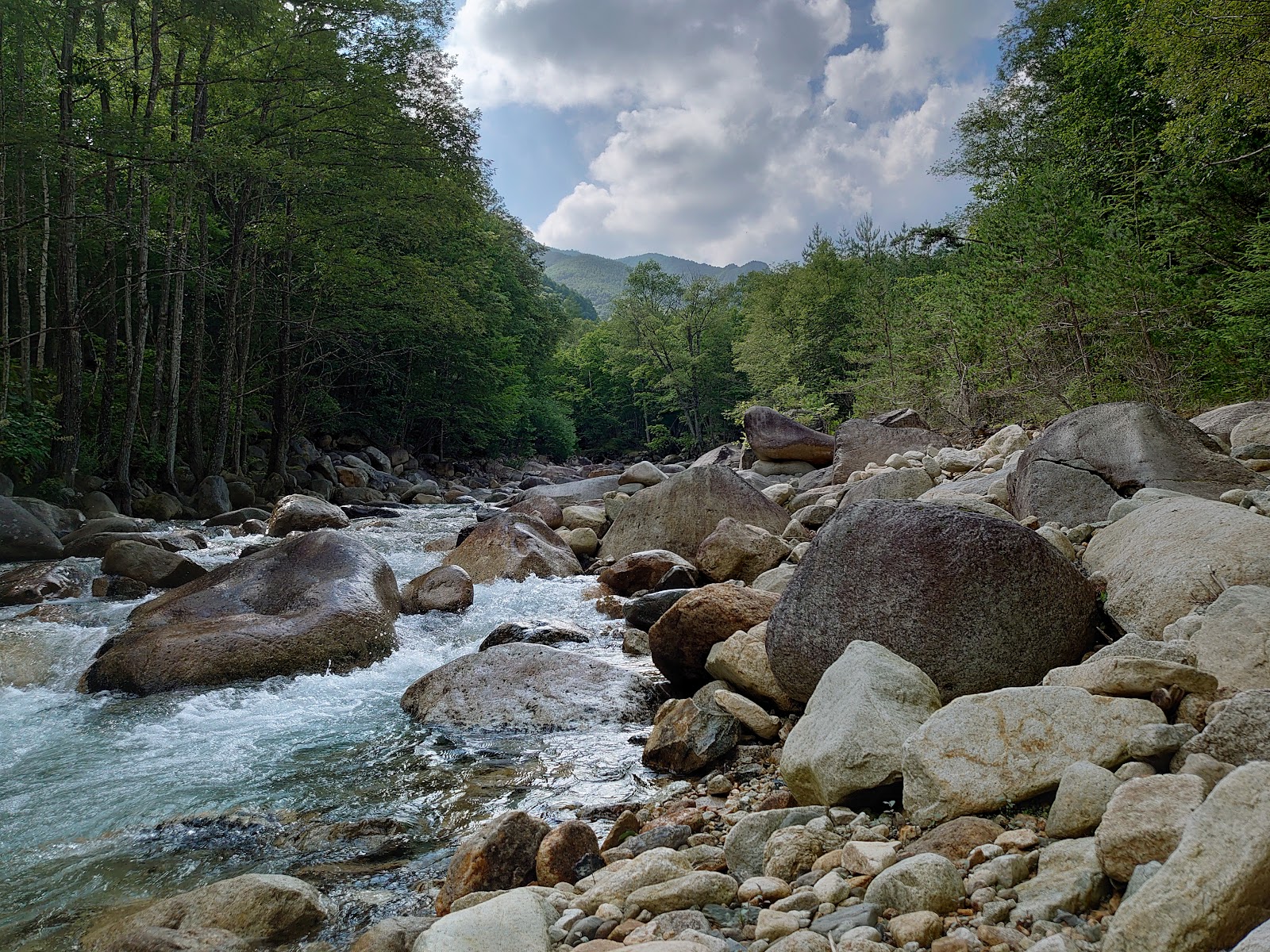 Chikuma Genryuu Kinpou Fureai Forest