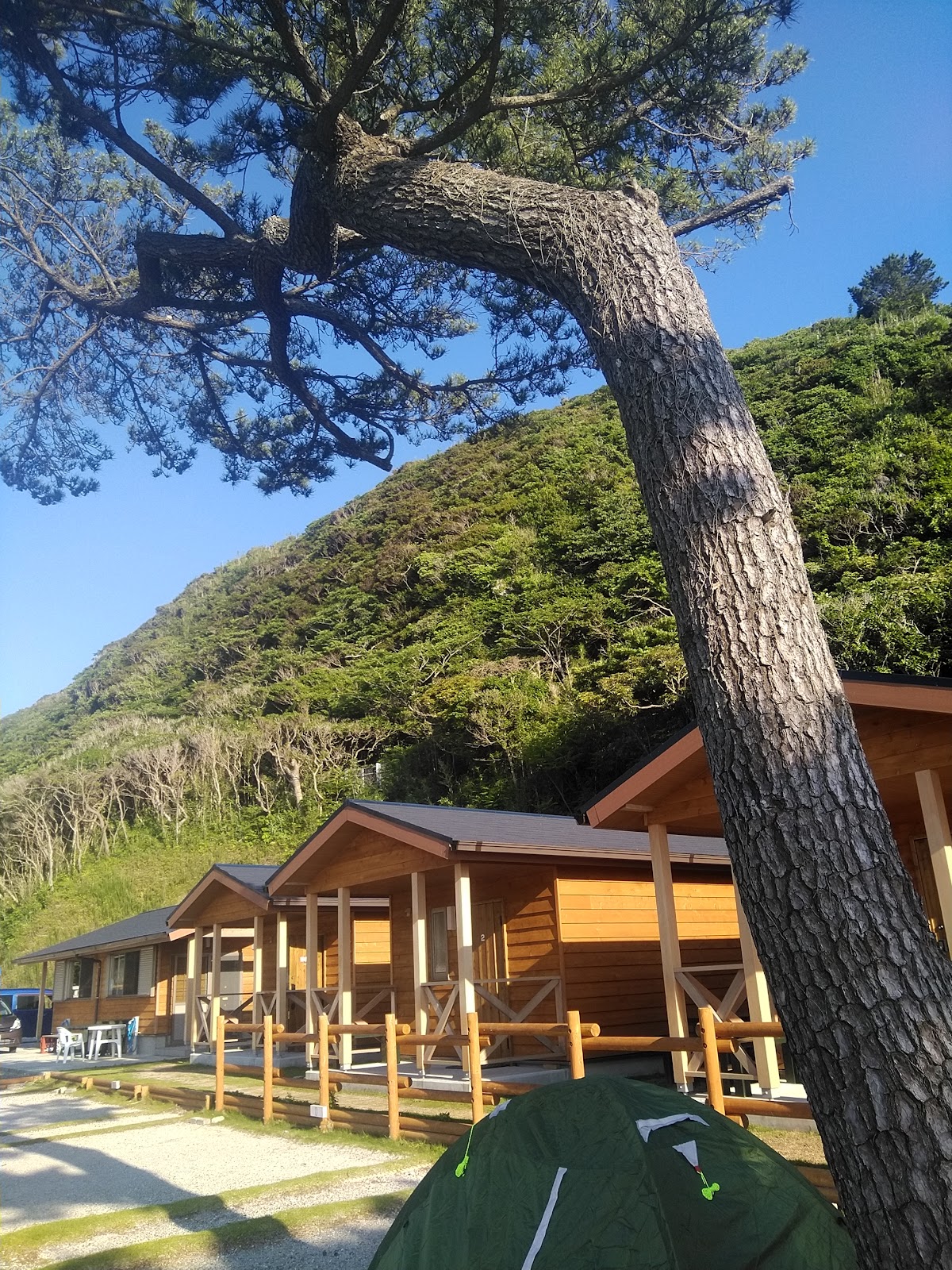 Cắm trại Joi Daijinko