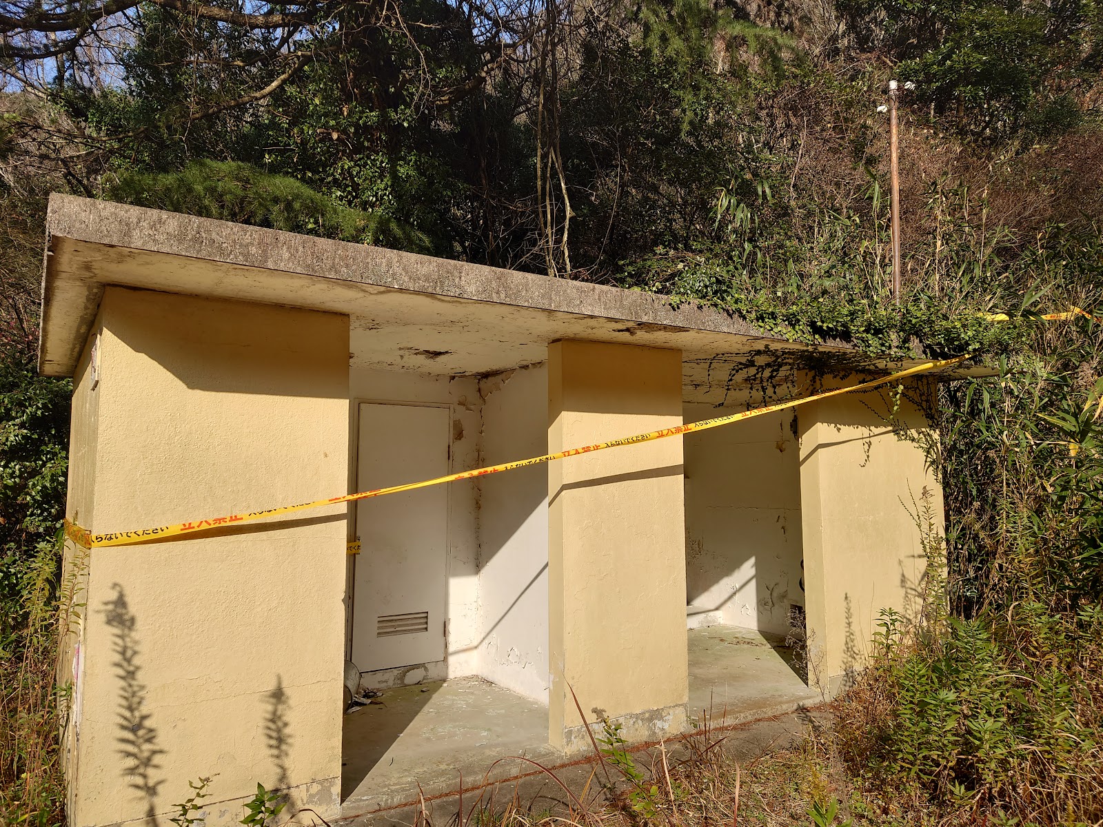 Romansuke Oka Natsu Kitsurin Michi Campground