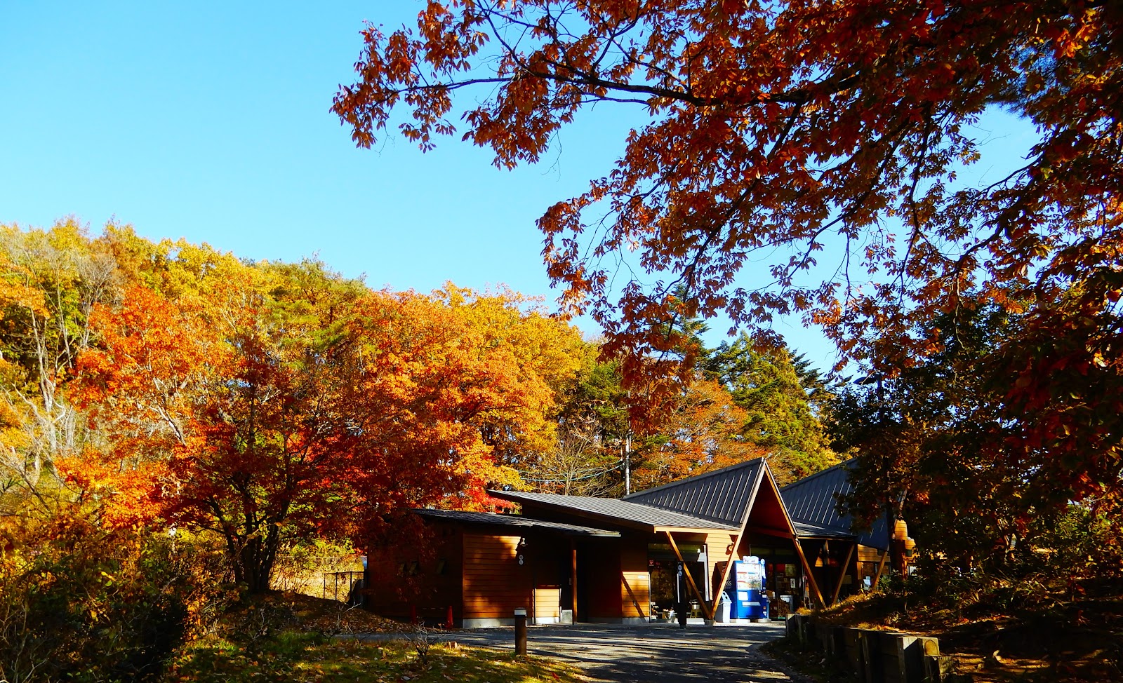 Khu cắm trại Mizu Rừng Công viên Dei Cắm trại Khu vực