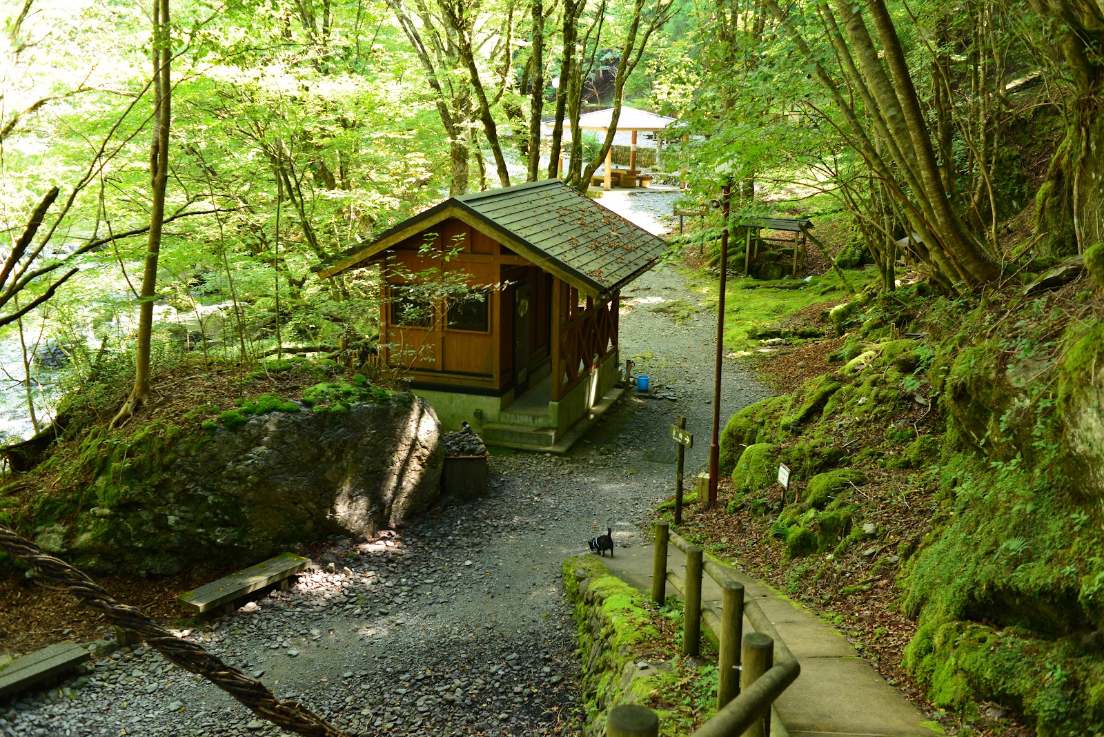 Khu cắm trại Oku Iya Nijuu Kazura Hashi