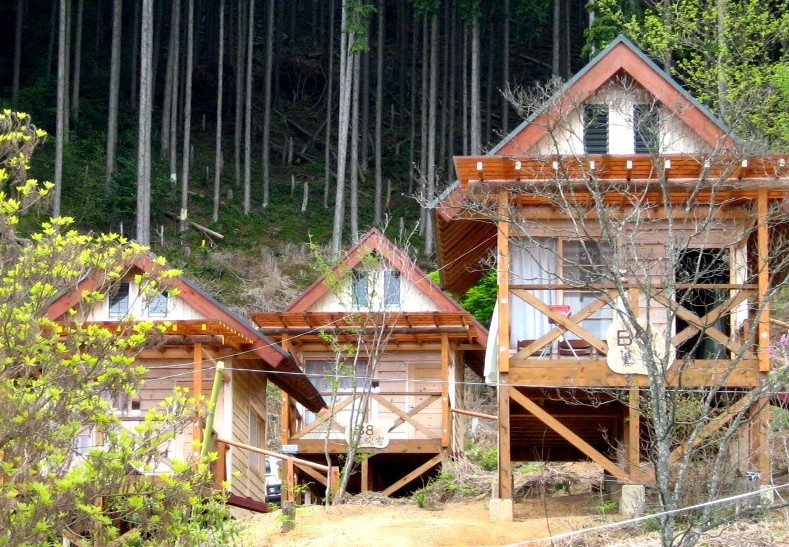 Rừng Yoshino Đồi Hana Gokoro