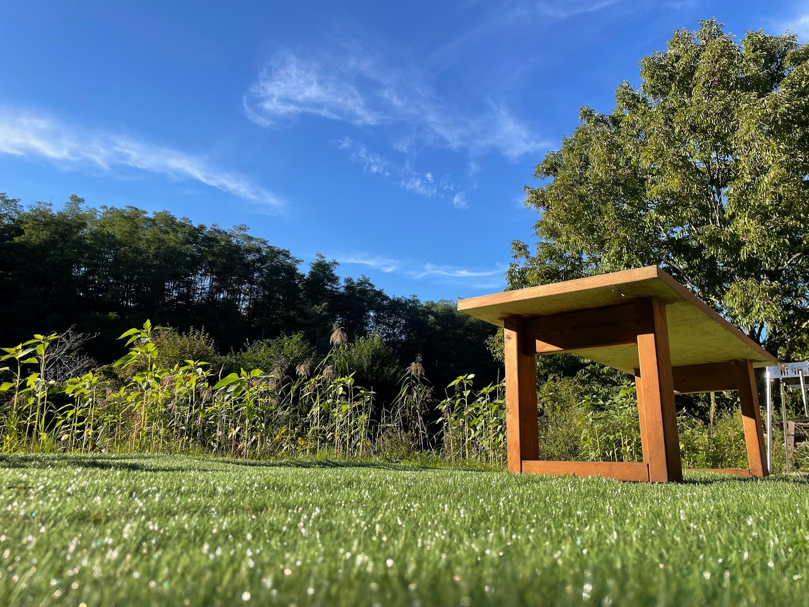 Khu cắm trại JUN Nông trại