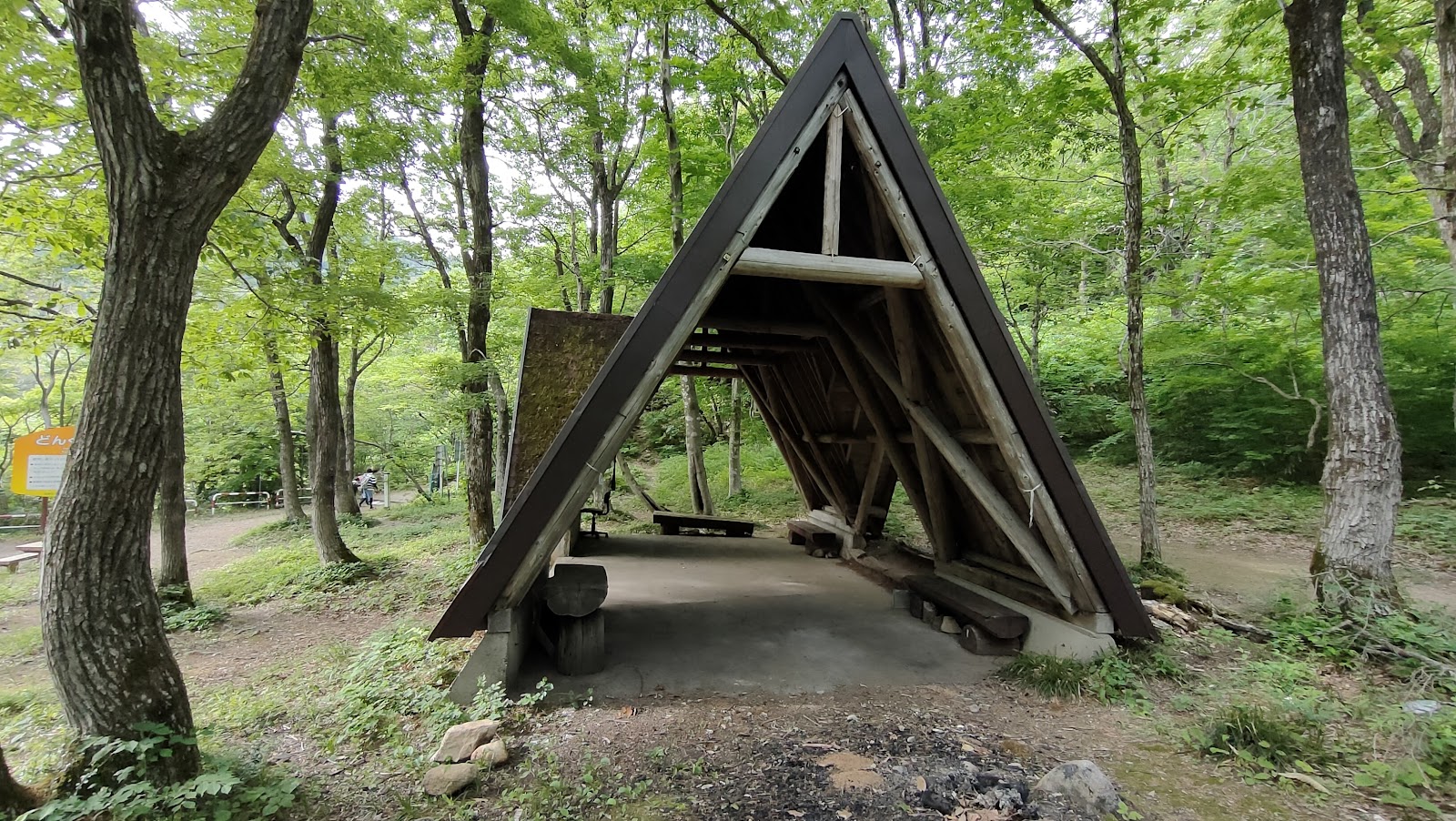 Donguri Forest Campground