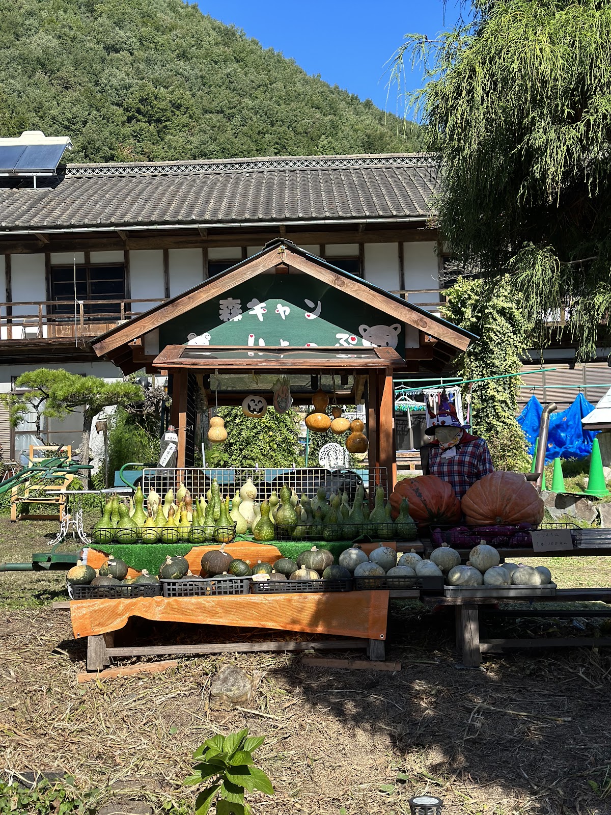 Khu cắm trại Taiken Rừng Hanasaki Mori No