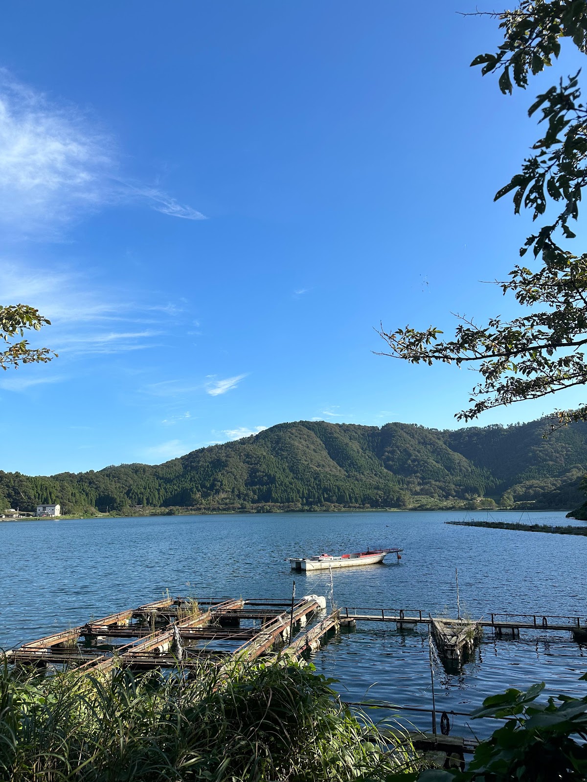 アミレンタルボート