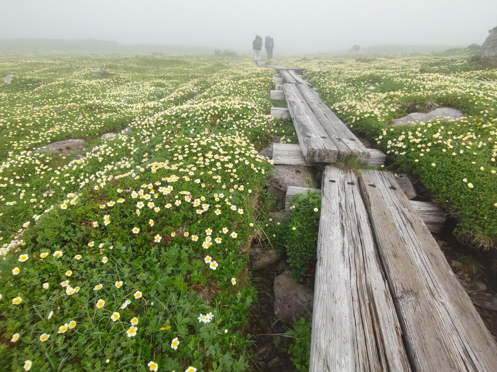 Tomuraushi Minaminuma Yaei Shiteichi