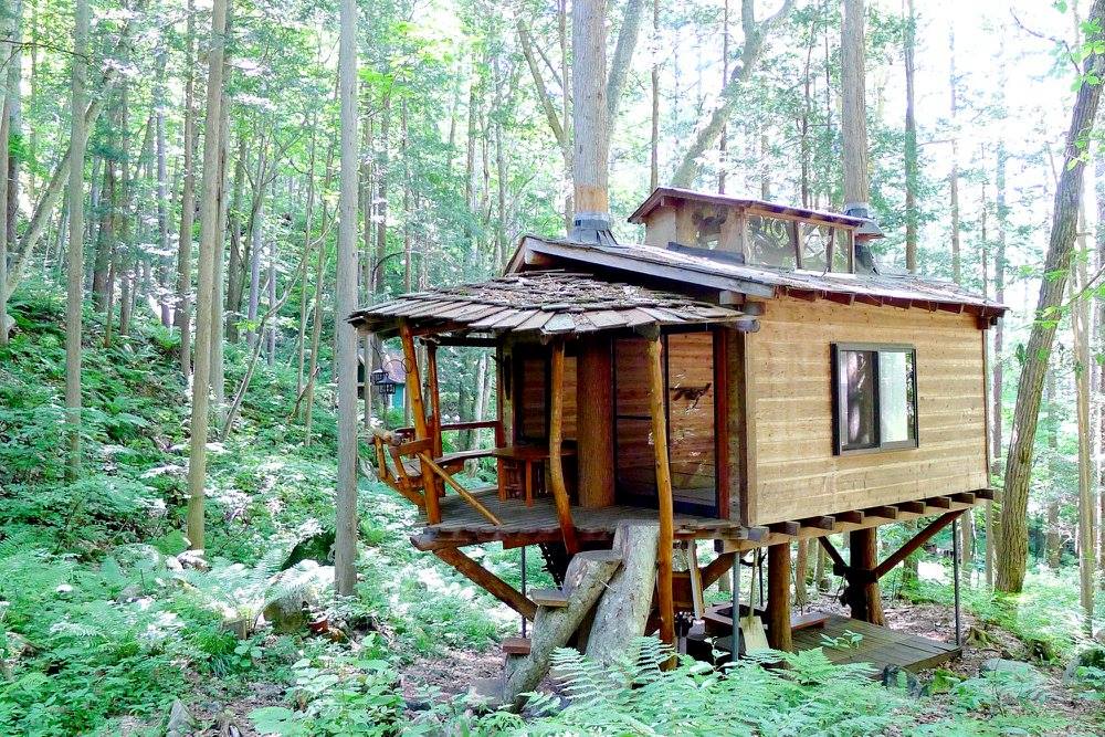 Thiên nhiên Sennen Rừng Gakkou