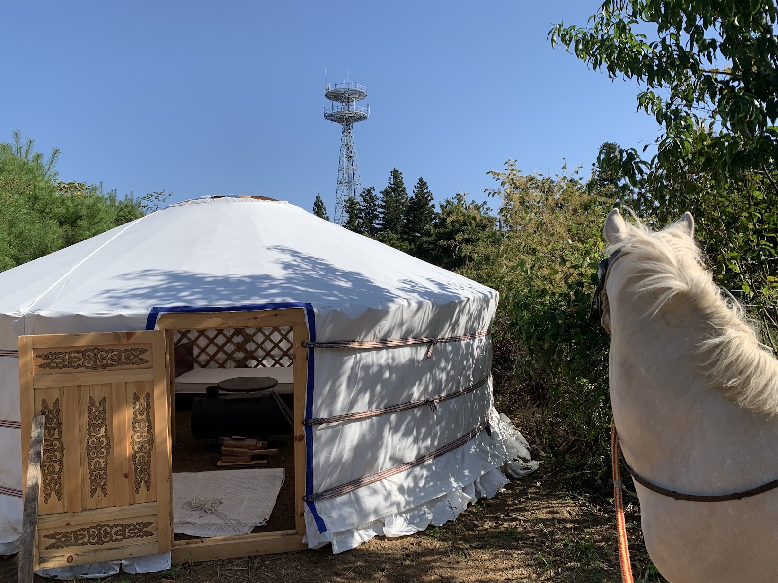 三国モンゴルゲルキャンプ場