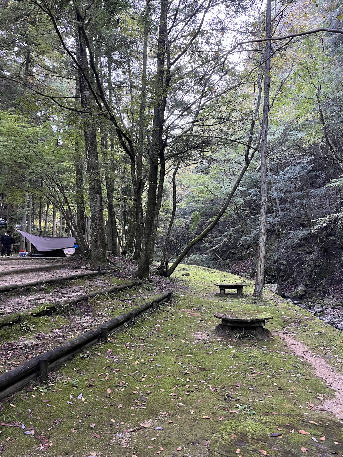 Khu cắm trại Ootaki Yamagata Tami Ikoi Rừng