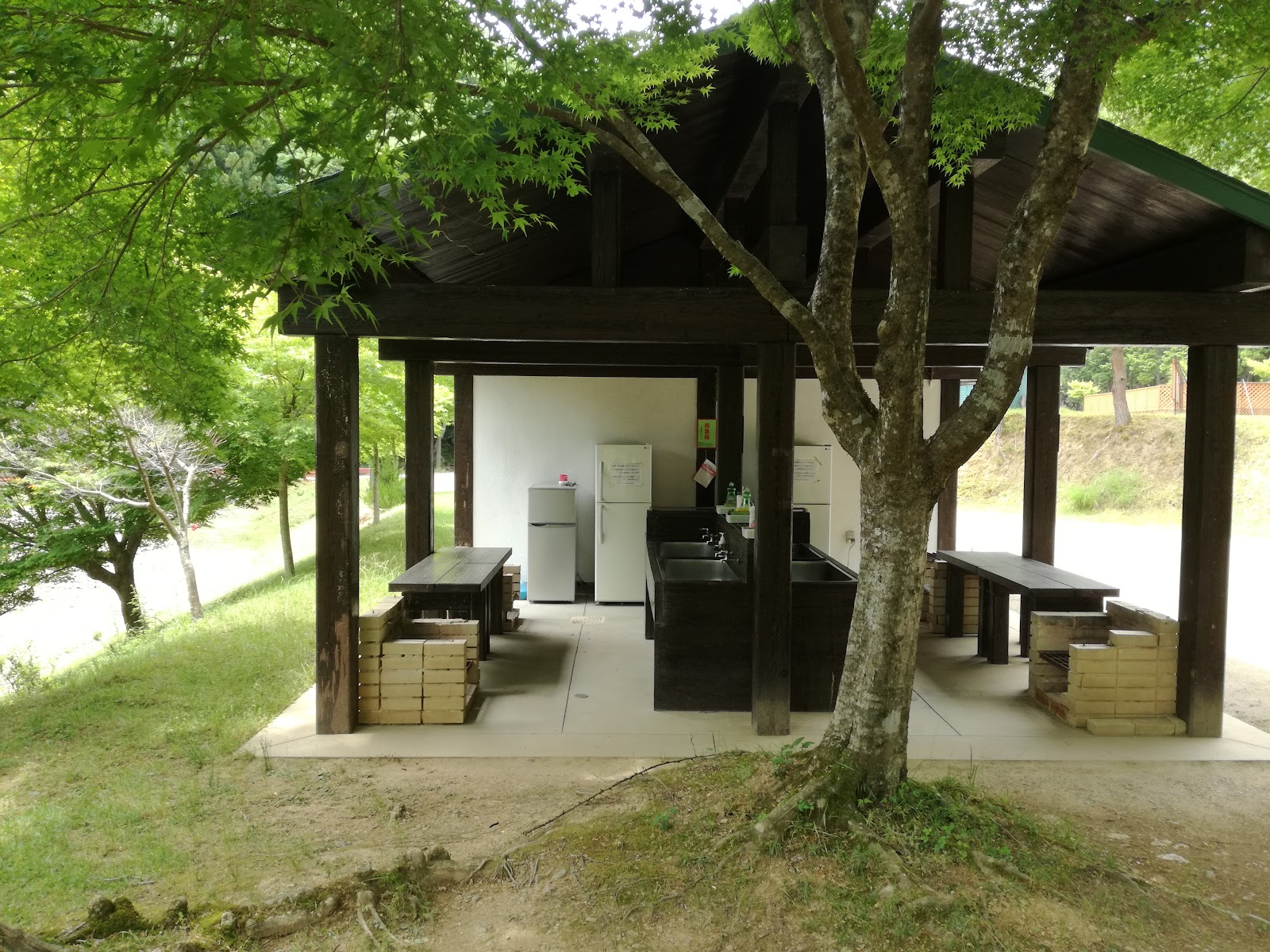 Oosugi Damu Nature Park Auto Campground
