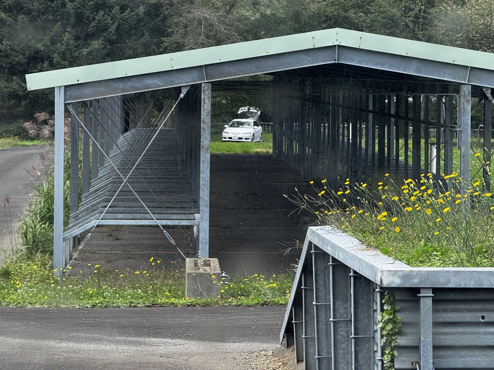 Makomanai Damu Park Auto Campground