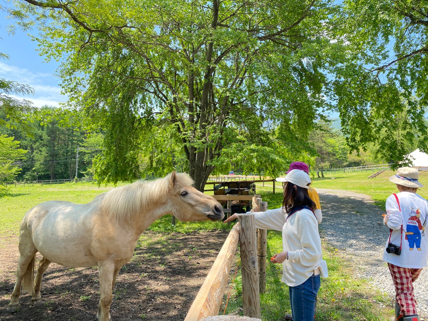 Nhà nghỉ Afan Rừng Zaidan Hoosu