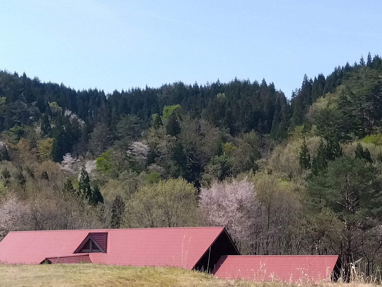 Ooishi Auto Camping Mura