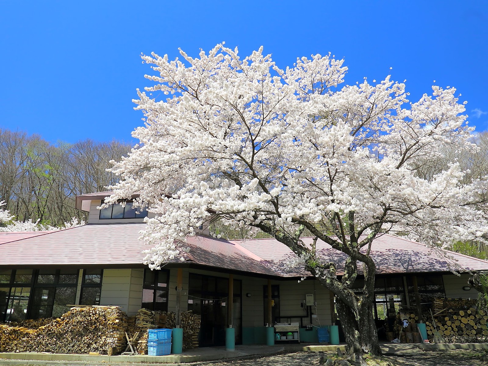 羽鳥湖畔オートキャンプ場