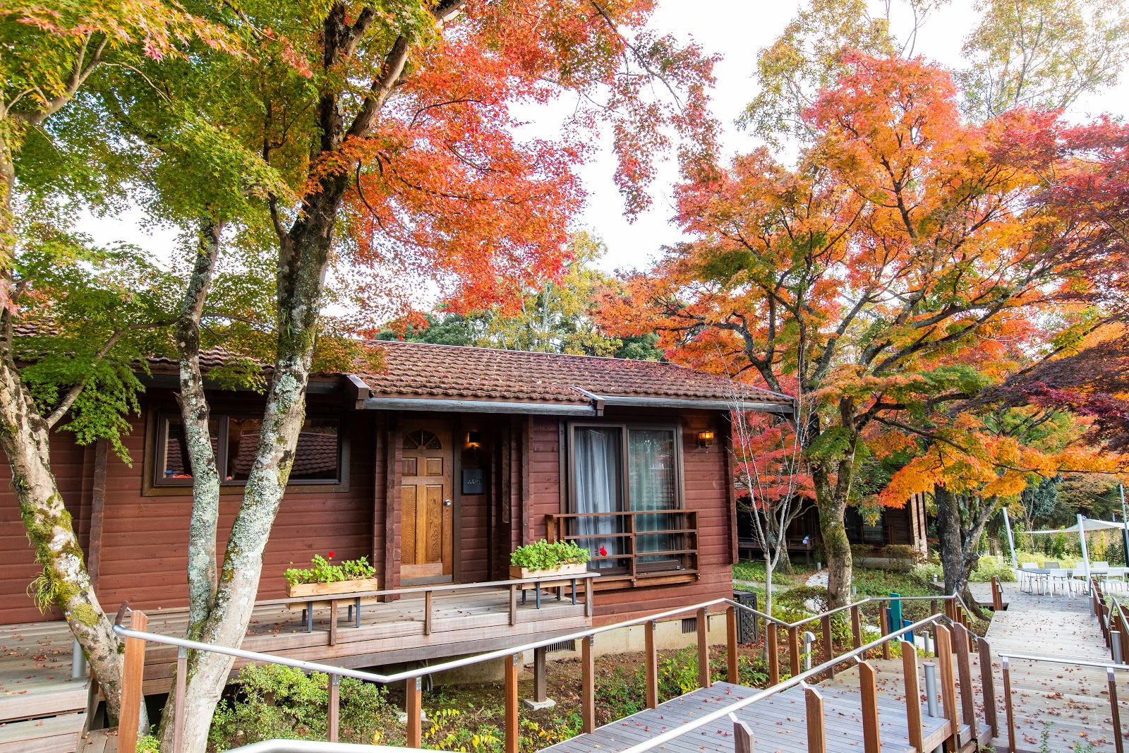 Sport & Do Resort Risoru Forest