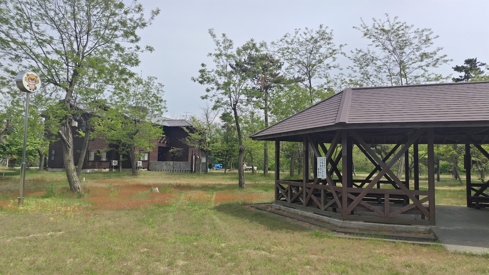 Umibe Forest Campground