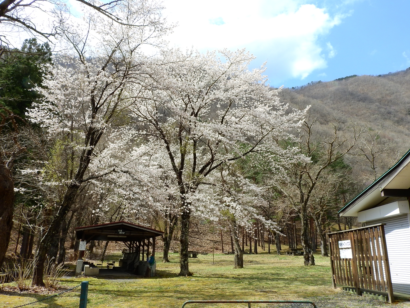 龍泉洞青少年旅行村キャンプ場