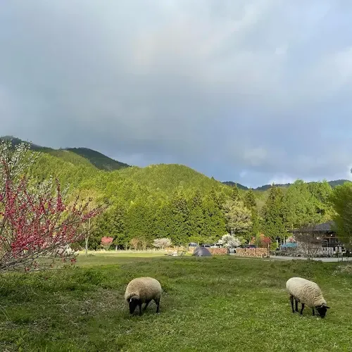 Satoyama Camping 365nichi