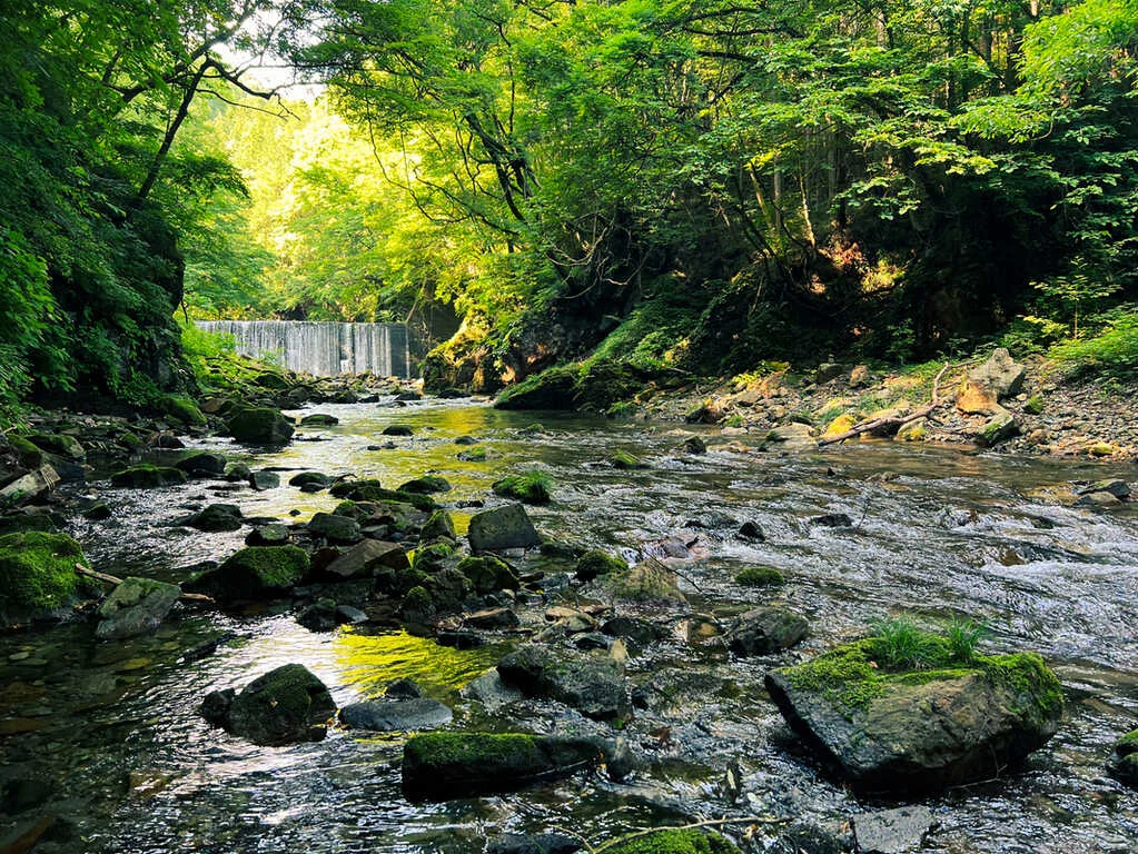 Arigatou Village Dai Nature No Naka De Private Tent Sauna & Camping Arigatonosato Private Tent Sauna& Camp With Nature