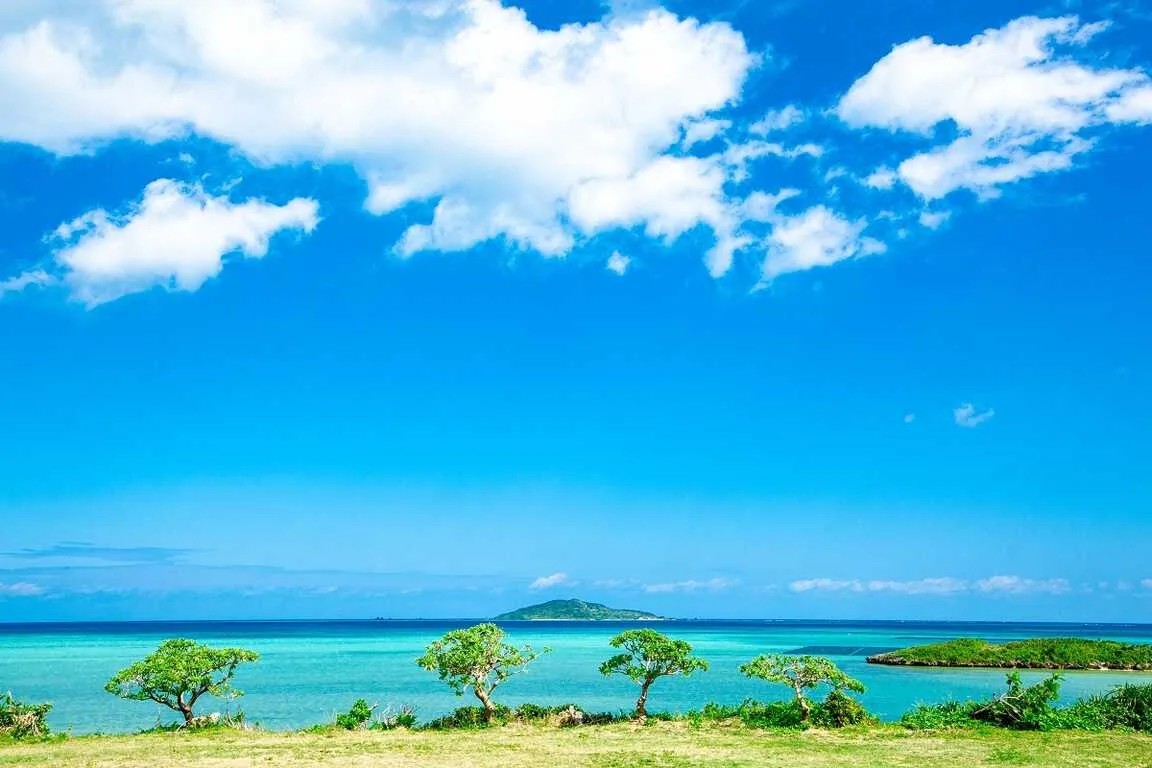 Ayauta Forest Land